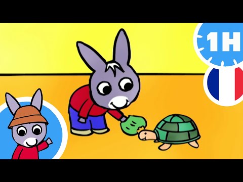 🐢 Trotro trouve une tortue ! 🐢 - Dessin Animé pour Bébé