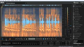 RX 5 Advanced Audio Editor