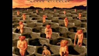 Cadenas De Encubrimiento