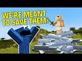 When Saving The Dolphins Goes HORRIBLY Wrong