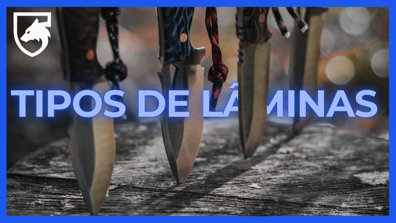 TUDO QUE VOCÊ PRECISA SABER SOBRE LÂMINAS