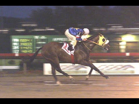 MY OWN BUSINESS Copa Confraternidad del Caribe 2003