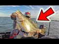 3 FISHING Lures that CATCH 10 pound BASS (I CAN PROVE IT!!!)
