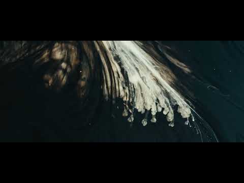 Ballrogg - Nostalgic Idol 2022 (Official Video)