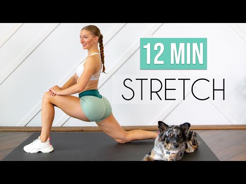 7 ESSENTIAL STRETCHES YOU NEED TO DO DAILY! (12 min Stretch for Flexibility & Mobility)
