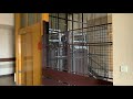 2x Old Otis Elevators Edouard Herriot Hospital Lyon France