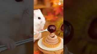 【AI】らっしゃい！ハムパーラー ショートケーキ・バームクーヘン・モンブランはいかが？  #cute #hamster #癒し動画