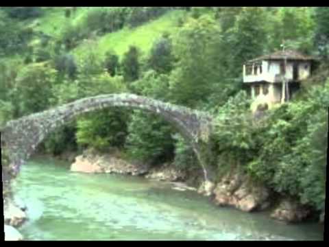 Ayşenur Kolivar - Kuş Kanadın Kırılsın