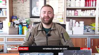 VETERİNER HEKİM GÜNLÜĞÜ - VETERİNER HEKİMLİKTE HASTA MUAYENESİ VE TEDA