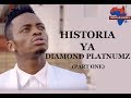 Elimika Historia Ya Dimond Platinumz