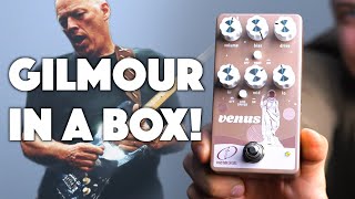 Video thumbnail for ABSOLUTE GILMOUR! | VENUS For David Gilmour Tones! (Tube Driver) by MustyGuitar