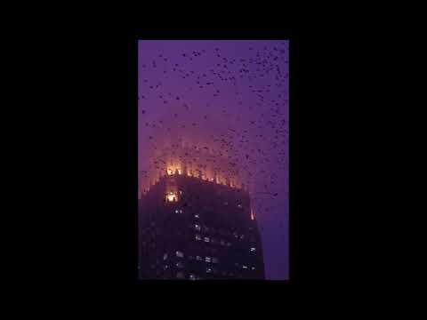 [Free] Waka Flocka Flame x Ace Hood Type Beat "Phantom"