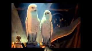 Oonagh Avalon 2015 rmx 3.1