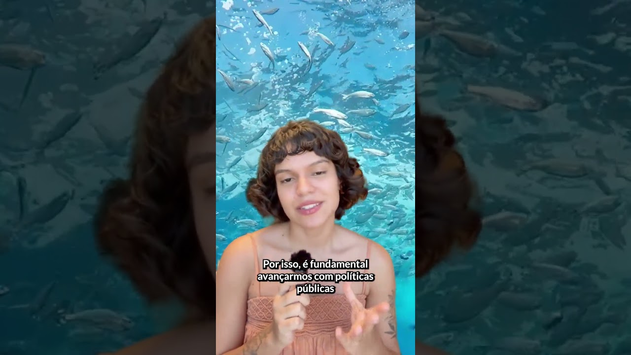 O #mar está mudando de cor?
