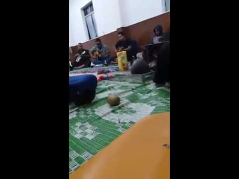 SINANI BROTHERS 1929 -HANGE HA VAIFA