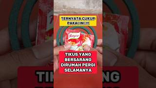Download lagu Tikuss dirumah anda keracunan seletah lakukan ini #creatorkampung #tips #tikus mp3 Download lagu Tikuss dirumah anda keracunan seletah lakukan ini #creatorkampung #tips #tikus mp3