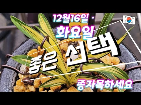 유튜브 썸네일