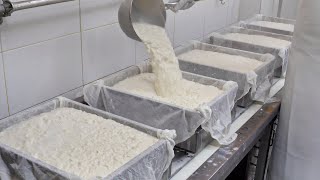 Download lagu 온라인 주문 폭주!! 천연재료로 만드는 연두부, 손두부 / tofu made with natural ingredients / korean street food mp3