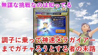 【星ドラ】調子に乗って神速メラガイアーまでガチャろうとする者の末路