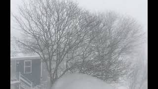 Storm Song - Winter: A Dirge by Robert Burns