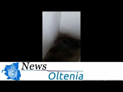 Situaţia catastrofală a unor copii de gradiniţă din comuna Secu, judeţul Dolj