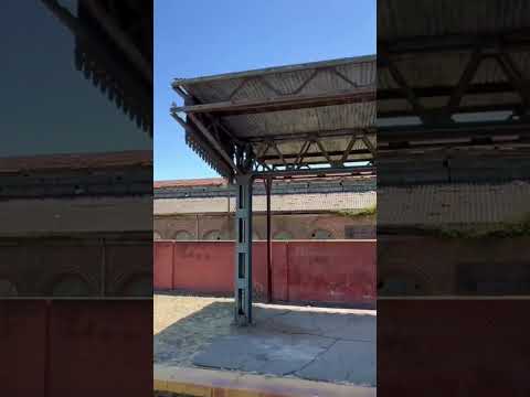 Estamos saliendo de la antigua estación de trenes de #campana hacia #zarate #shorts #walking #tour