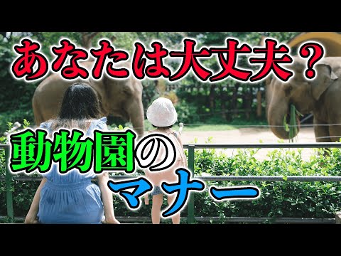 動物園について詳しく解説