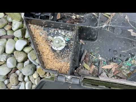 Huge Ant Nest Found in Rodent Bait Station in Middletown, NJ