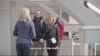 Disappearance of mamath
