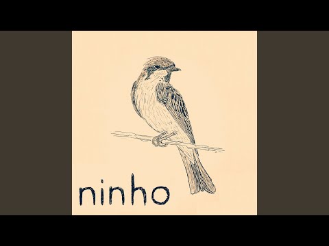Sabiá video