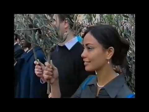 Domenica delle Palme, 16 marzo 2008: Benedetto XVI guida la Processione