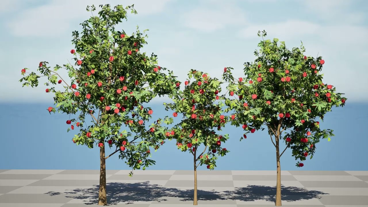 Albero della gomma in fiore Modello 3D