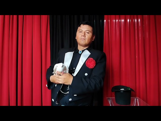 Vídeo relacionado con 1 bolsa de paloma (cremallera), bolsa de paloma de una sola mano, trucos mágicos, paloma, aparición de paloma, mago, escenario, accesorios para liberar palomas (color negro) (rojo)