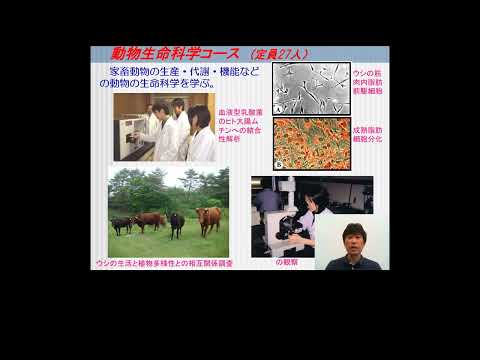 Tohoku University - Faculty of Agriculture
