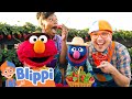Blippi Elmo Pick Strawberries Blippi X Sesame Street Farm And Animal Videos For Kids
