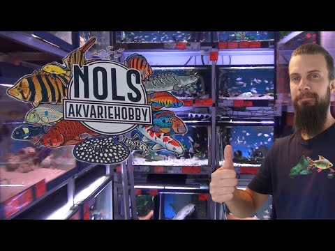 A visit to Nols aquariumhobby. (fishtour)