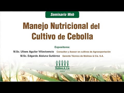 , title : 'Manejo Nutricional del cultivo de Cebolla'