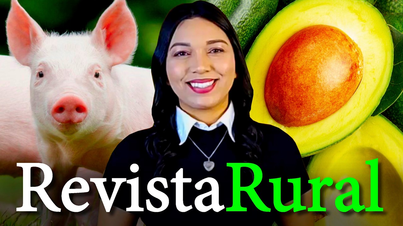 PROGRAMA REVISTA RURAL - 02/08/2026