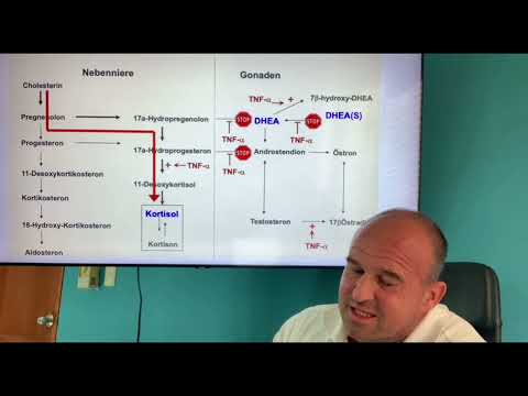 Anabole Steroide... Irrtümer im Sport & Therapie