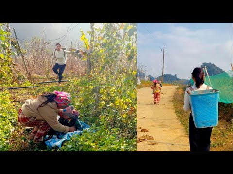 A Mother Rejected by Her Husband — Ly Tu Ca Steps In and Saves Her Child