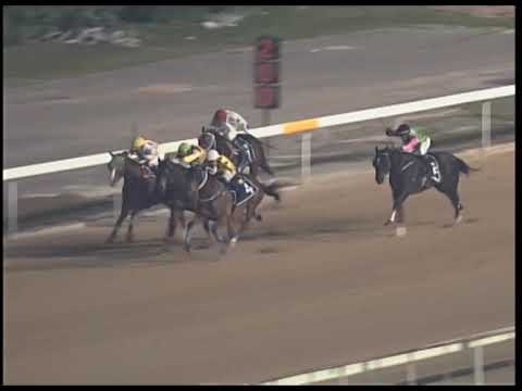2019-02-22 Race 4(0160) - THE LIVINGSTON