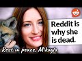 The Redditors Blamed For The Death Of YouTube S Most Wholesome Creator The SaveAFox Tragedy
