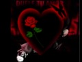 k.d. lang and the reclines  -  rose garden