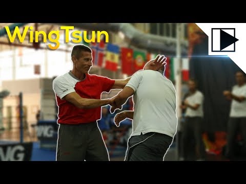 Sifu Pasquini Dimostrazione WingTsun | Festival dell'Oriente