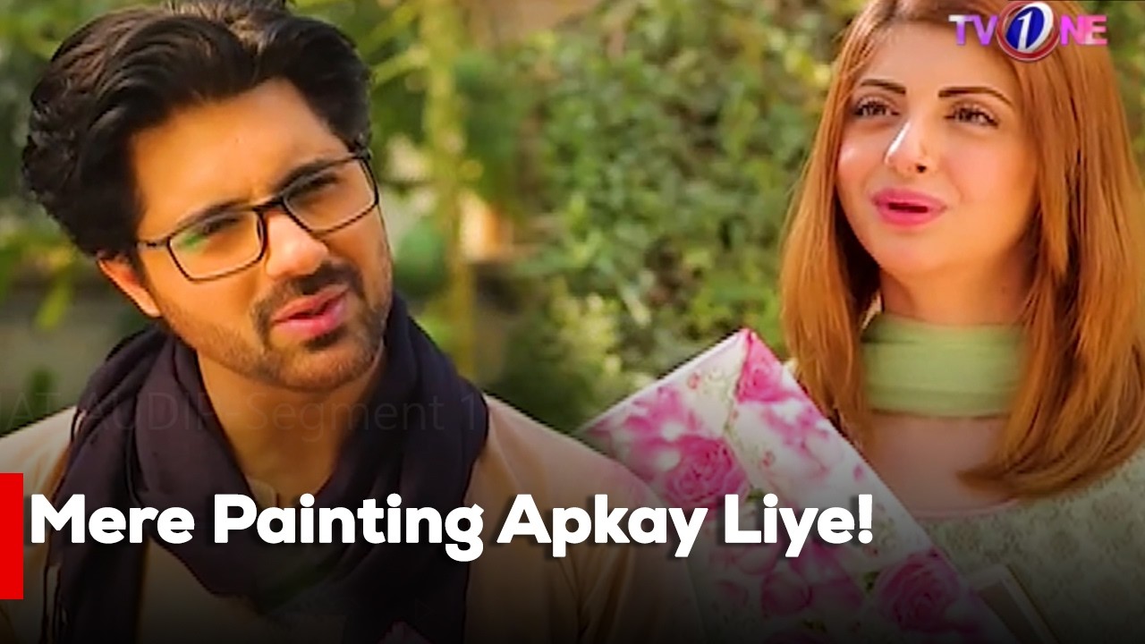 Mere Painting Apkay Liye!| Moomal Khalid | Nausheen Shah | Ali Abbas