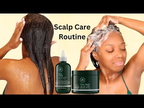 Have A Dry Scalp? You Need Tea Tree Special Scalp Detox