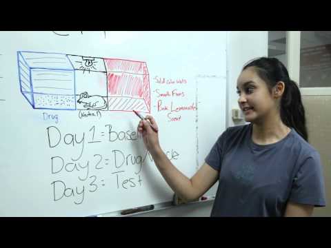 The Art of: Condition Place Preferance (2015)