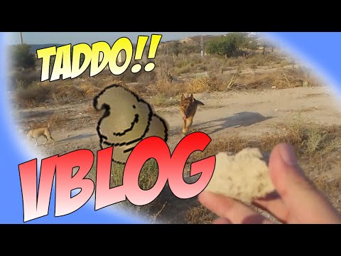 VBLOG | ¿Dónde estoy  y que hago? Taddo buscando p