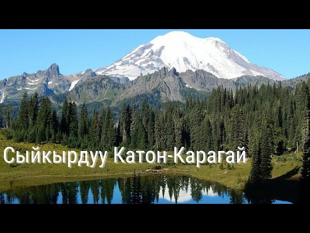 Сыйкырдуу Катон-карагай