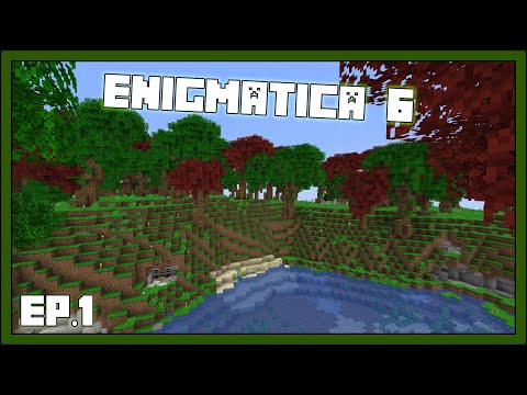 Minecraft Enigmatica 6 - EP1 - New Adventures!
